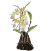 Декоративная композиция "Орхидея", цвет: желто-сиреневый, 17 см х 9 см Артикул: 5018 инфо 5157o.
