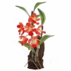 Декоративная композиция "Орхидея", цвет: красный, 18 см х 9 см Артикул: 5020 инфо 5160o.